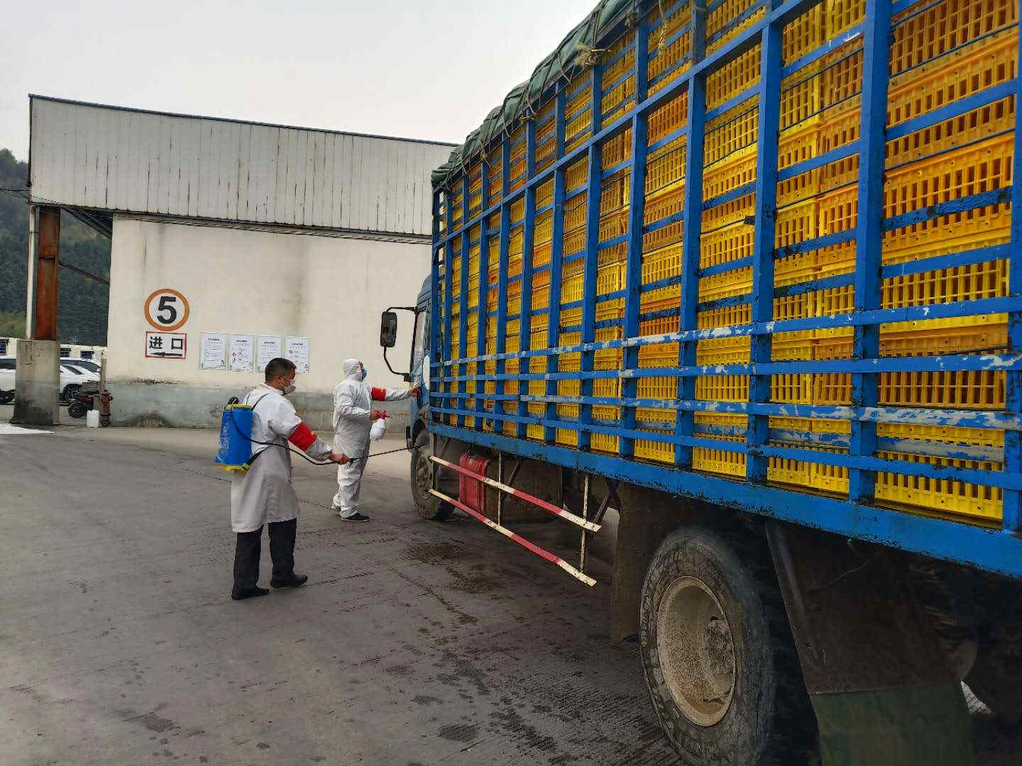 20200310172249 918博天堂(中国区)官方网站