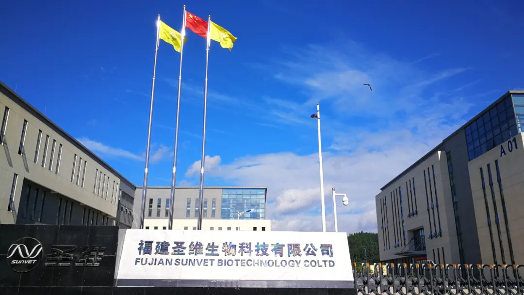20211228183641 918博天堂(中国区)官方网站