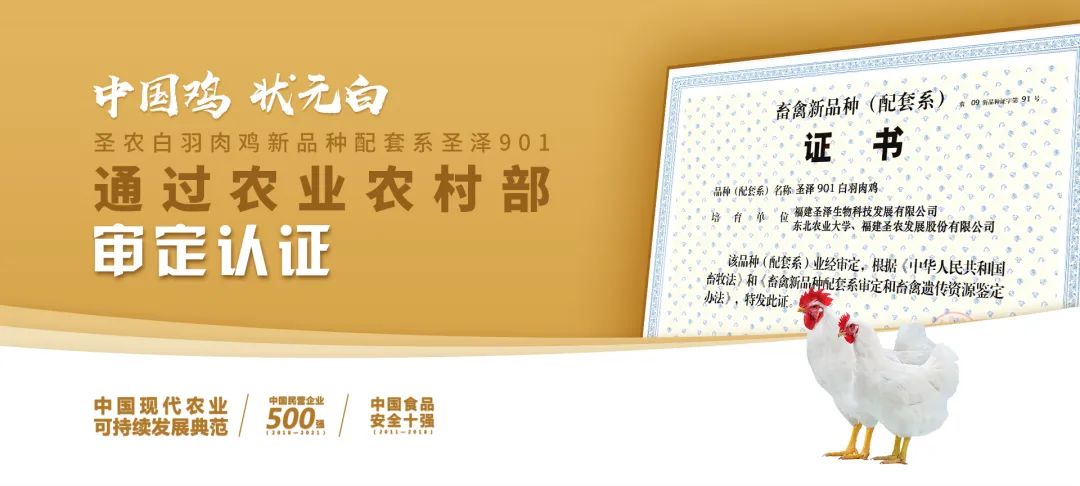 20220322152022 918博天堂(中国区)官方网站